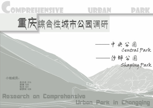 重庆市中央公园调研报告