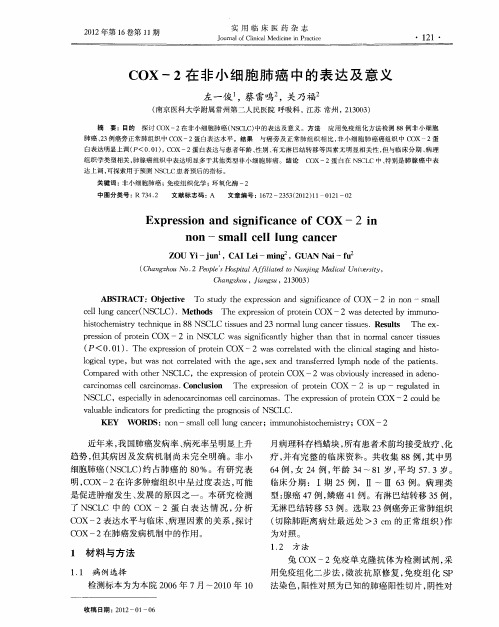 COX-2在非小细胞肺癌中的表达及意义