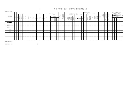 农村小学教学点基本情况统计表