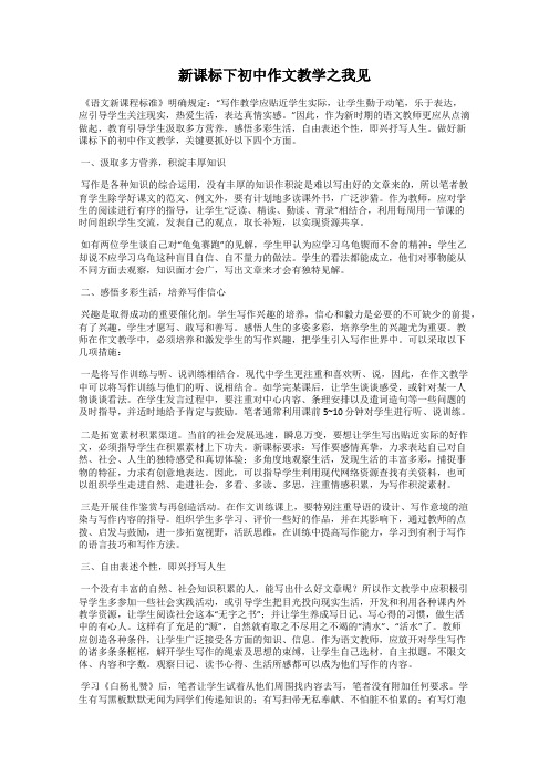 新课标下初中作文教学之我见