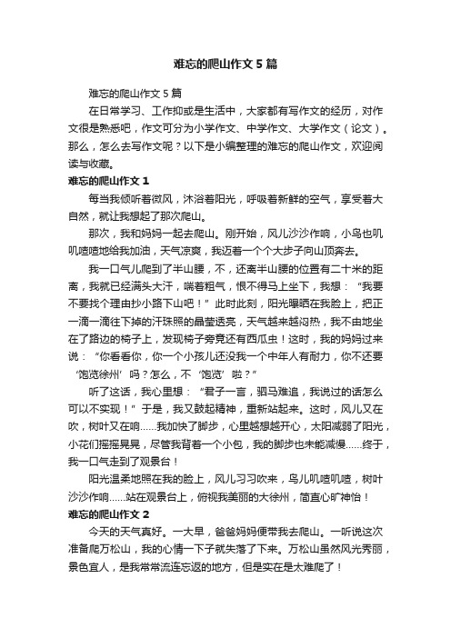 难忘的爬山作文5篇