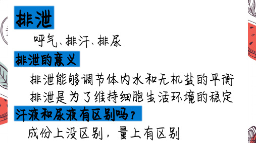 北师大七下生物 第十一章 第二节 皮肤与汗液分泌