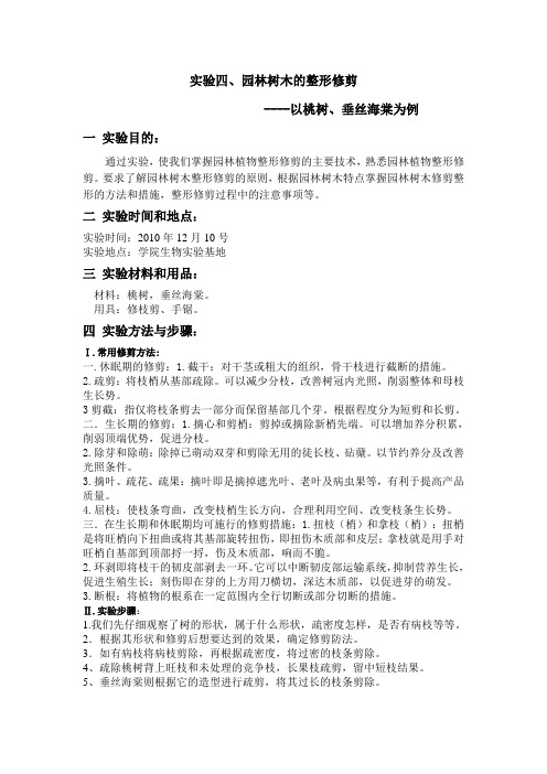 园林树木实验报告实验四