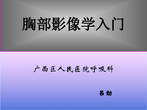 胸部影像学入门