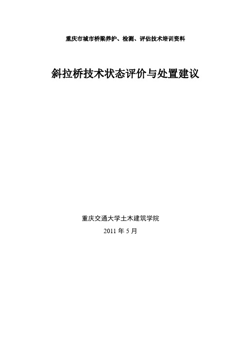 斜拉桥检查与技术状况评价