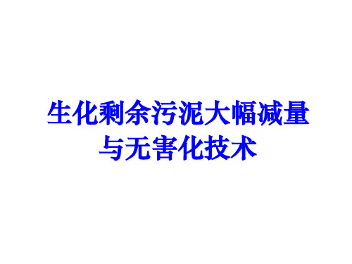 生化剩余污泥减量与无害化新技术