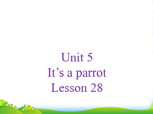 新人教精通版三年级英语下册 Unit 5 It%27s a parrot Lesson 28 课件2