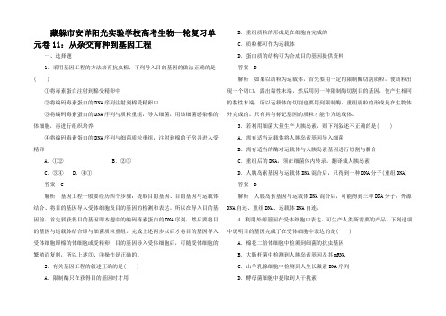 高考生物一轮复习 4 从杂交育种到基因工程精练精析2