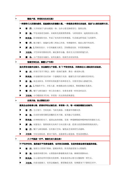 经典十大户型说明文案.doc