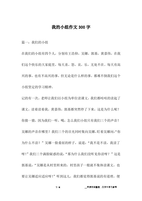 我的小组作文300字