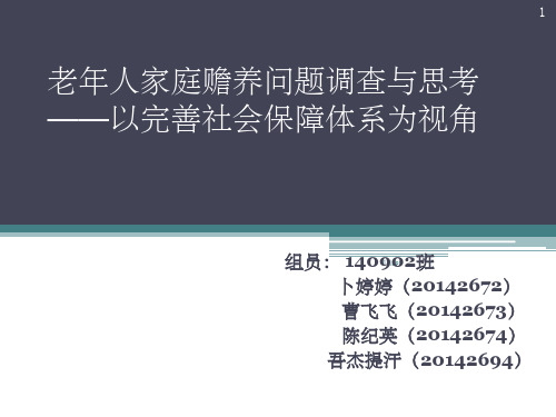 老年人家庭赡养问题调查与思考ppt课件