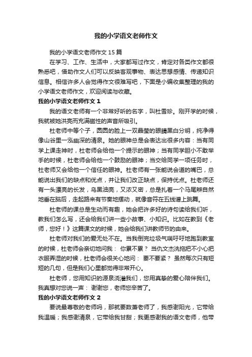 我的小学语文老师作文15篇