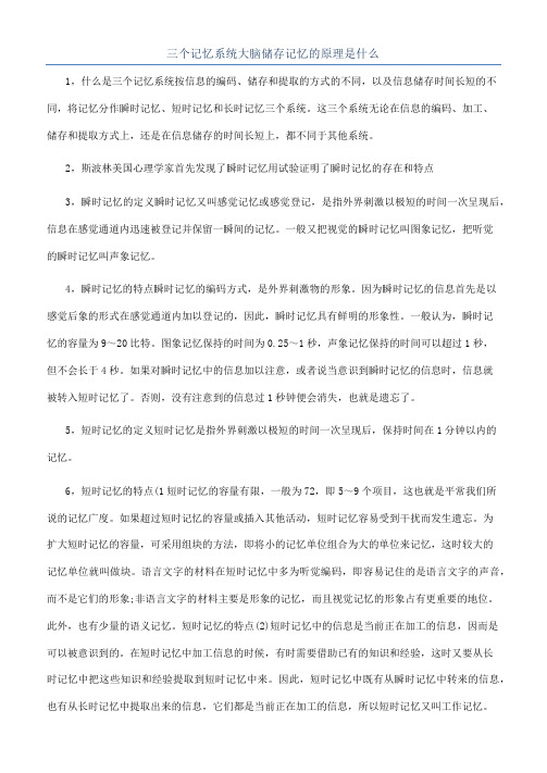 三个记忆系统大脑储存记忆的原理是什么