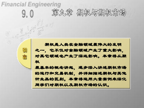 金融工具课件ppt 期权与期权市场