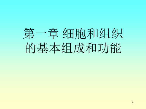 第一章 细胞和组织的基本组成和功能