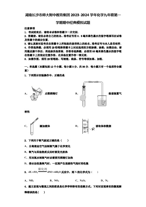 湖南长沙市师大附中教育集团2023-2024学年化学九年级第一学期期中经典模拟试题含解析