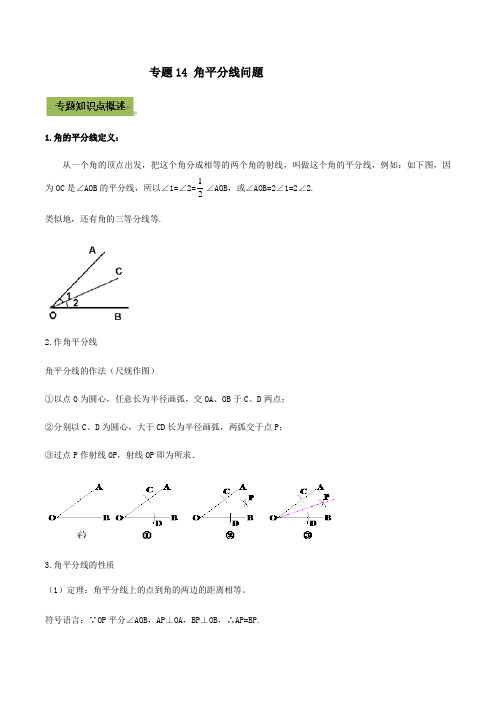 专题14 角平分线问题(解析版)   【2021年中考数学点对点突破的55个特色专题】