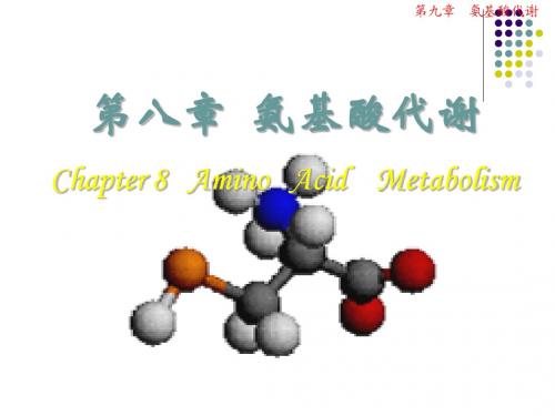 第八章氨基酸代谢_生物化学