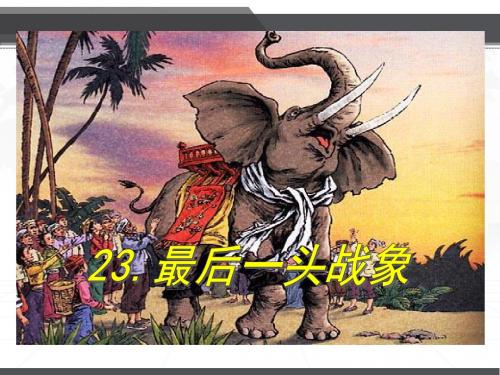 小学六年级语文上册最后一头战象 (6)公开课优质课教学课件精品