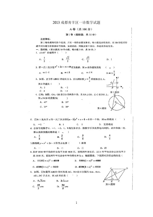 成都青羊2013年九年级一诊数学试题及答案