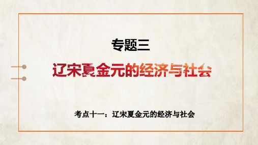 2023年高考历史专题复习考点11：辽宋夏金元的经济与社会