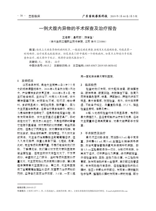 一例犬腹内异物的手术探查及治疗报告