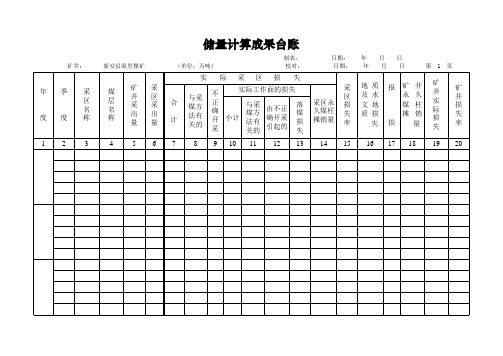 矿井储量台账样表