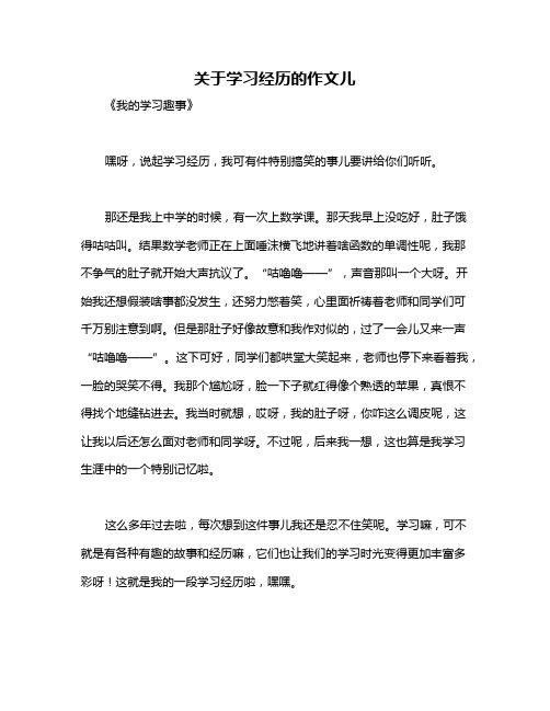 关于学习经历的作文儿