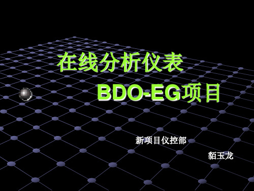 在线分析仪表BDO-EG