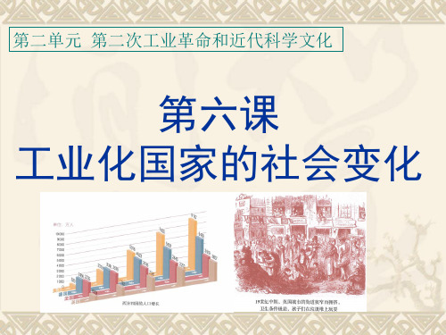 人教部编版九年级历史下册课件：第6课 工业化国家的社会变化共16张PPT