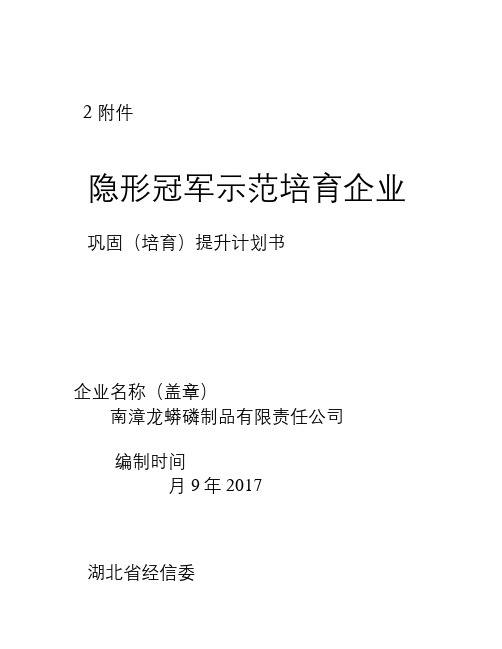 隐形冠军示范培育企业申请计划书