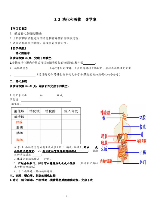 第二节消化和吸收导学案-2023-2024学年人教版生物七年级下册