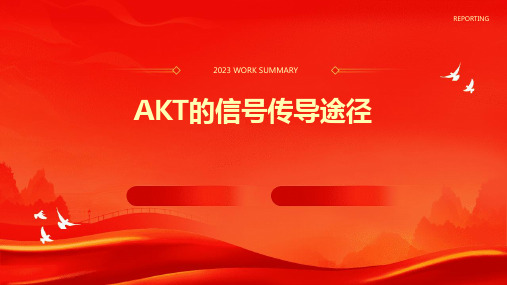 AKT的信号传导途径