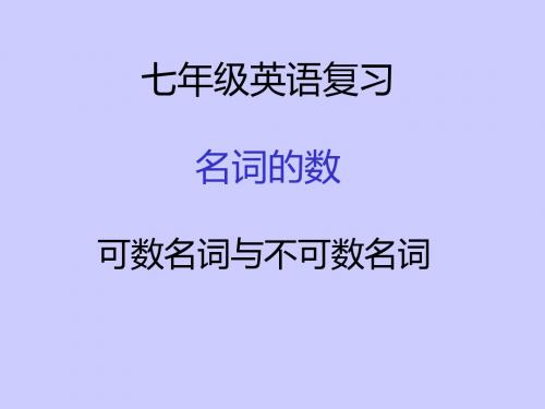 最新2019-名词  人教版中考英语专题复习(共23张PPT)-PPT课件