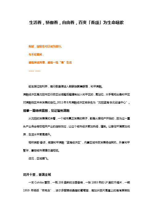 沈阳格林香颂文案类全案