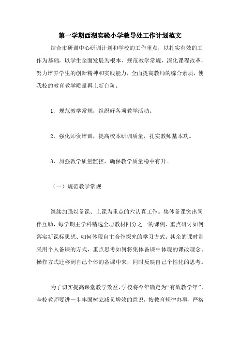 2020年第一学期西湖实验小学教导处工作计划范文
