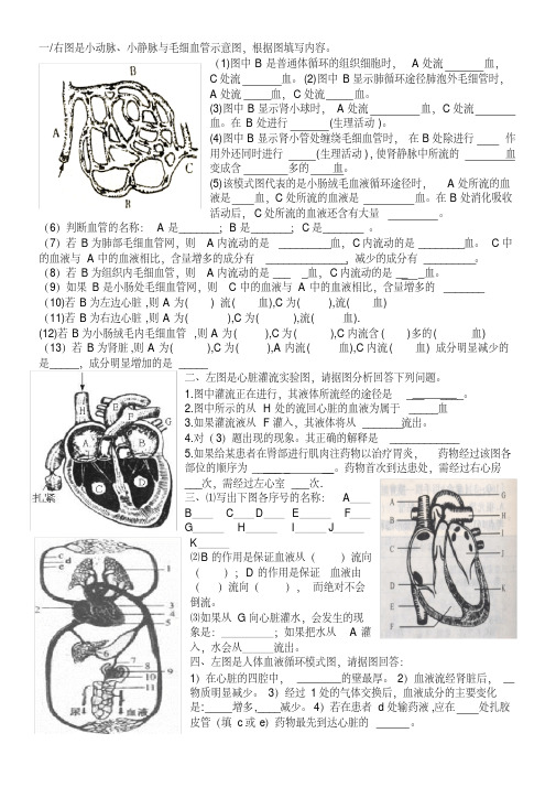 初中生物识图作答训练