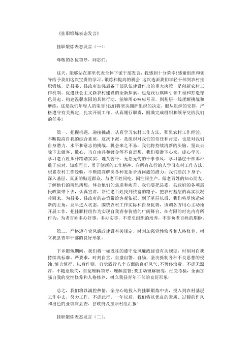 挂职锻炼表态发言6篇