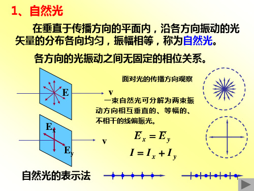 大学物理-光的偏振