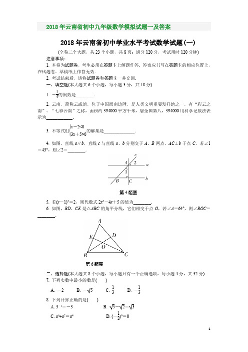 2018年云南省初中九年级数学模拟试题一及答案