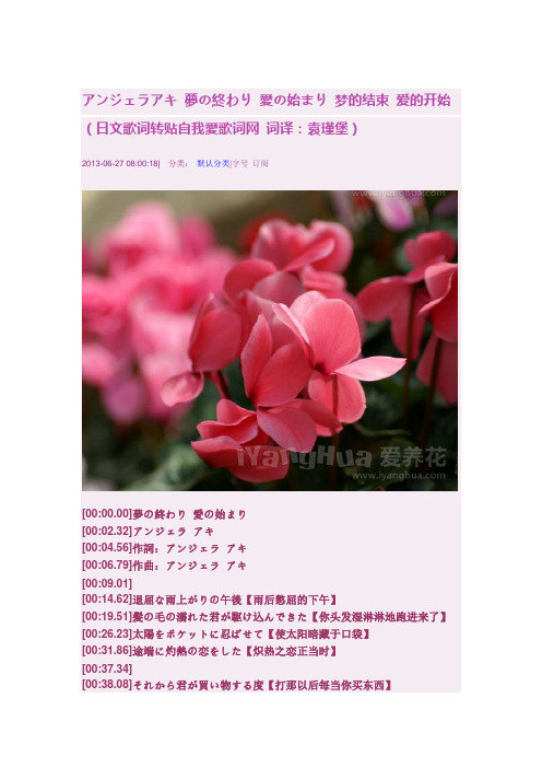 梦的结束爱的开始的歌词与汉译