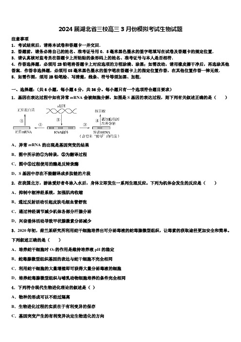 2024届湖北省三校高三3月份模拟考试生物试题含解析