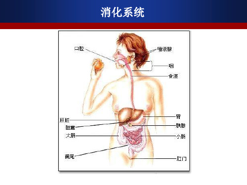 小儿腹泻护理PPT课件