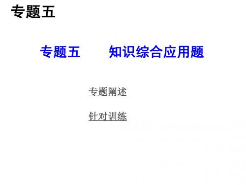 2014年人教版中考物理复习专题五 知识综合应用题