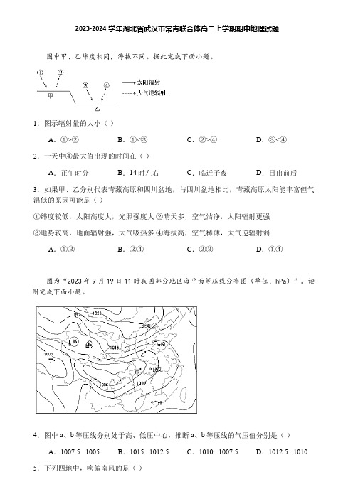 2023-2024学年湖北省武汉市常青联合体高二上学期期中地理试题