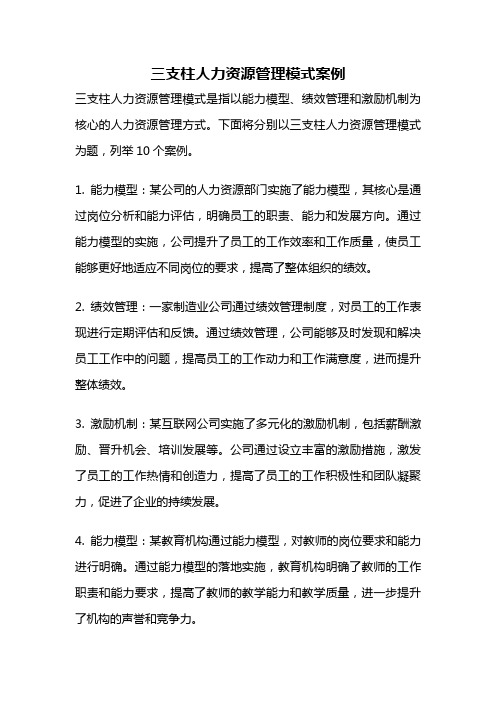 三支柱人力资源管理模式案例