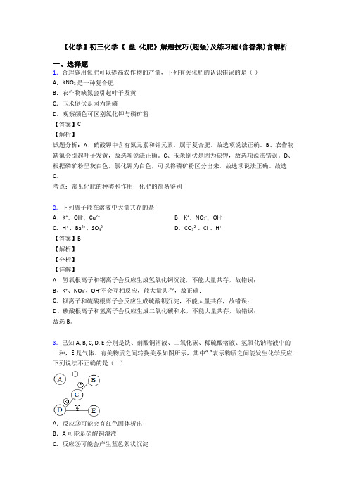 【化学】初三化学《 盐 化肥》解题技巧(超强)及练习题(含答案)含解析