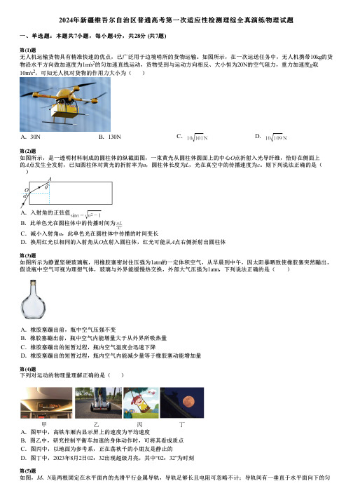 2024年新疆维吾尔自治区普通高考第一次适应性检测理综全真演练物理试题