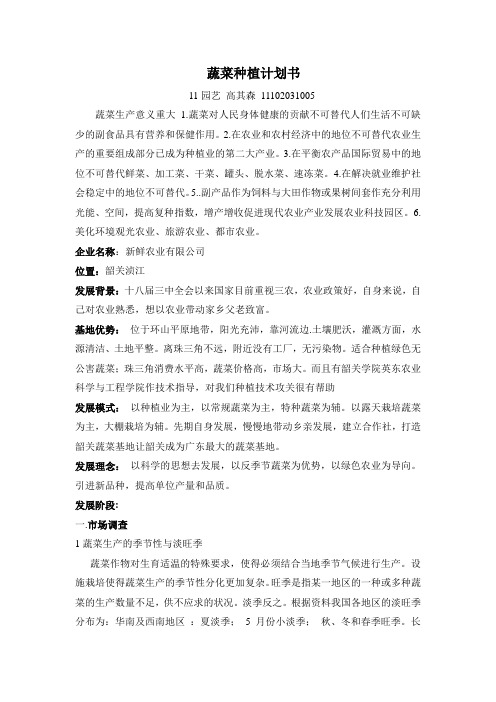 蔬菜种植计划书 高其森