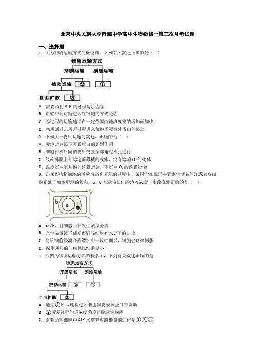 北京中央民族大学附属中学高中生物必修一第三次月考试题